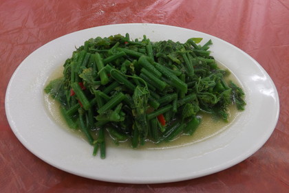 チャヨーテ炒め